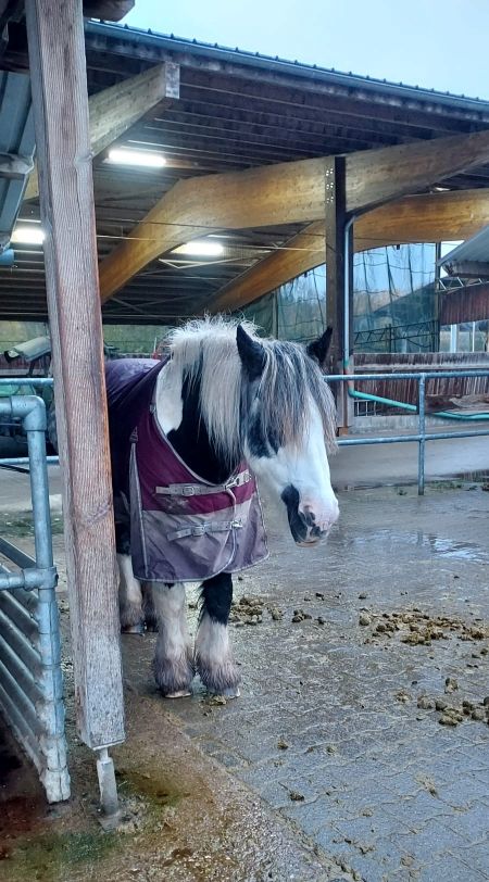 2023 11 November 601